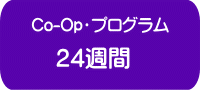 Co-Op 24週間