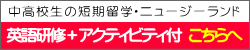 ジュニア留学 英語+アクティビティ付はこちらへ