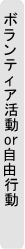 ボランティア活動または自由行動